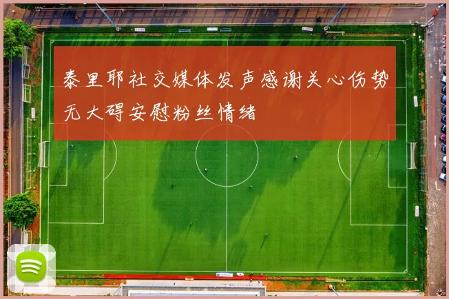 泰里耶社交媒体发声感谢关心伤势无大碍安慰粉丝情绪